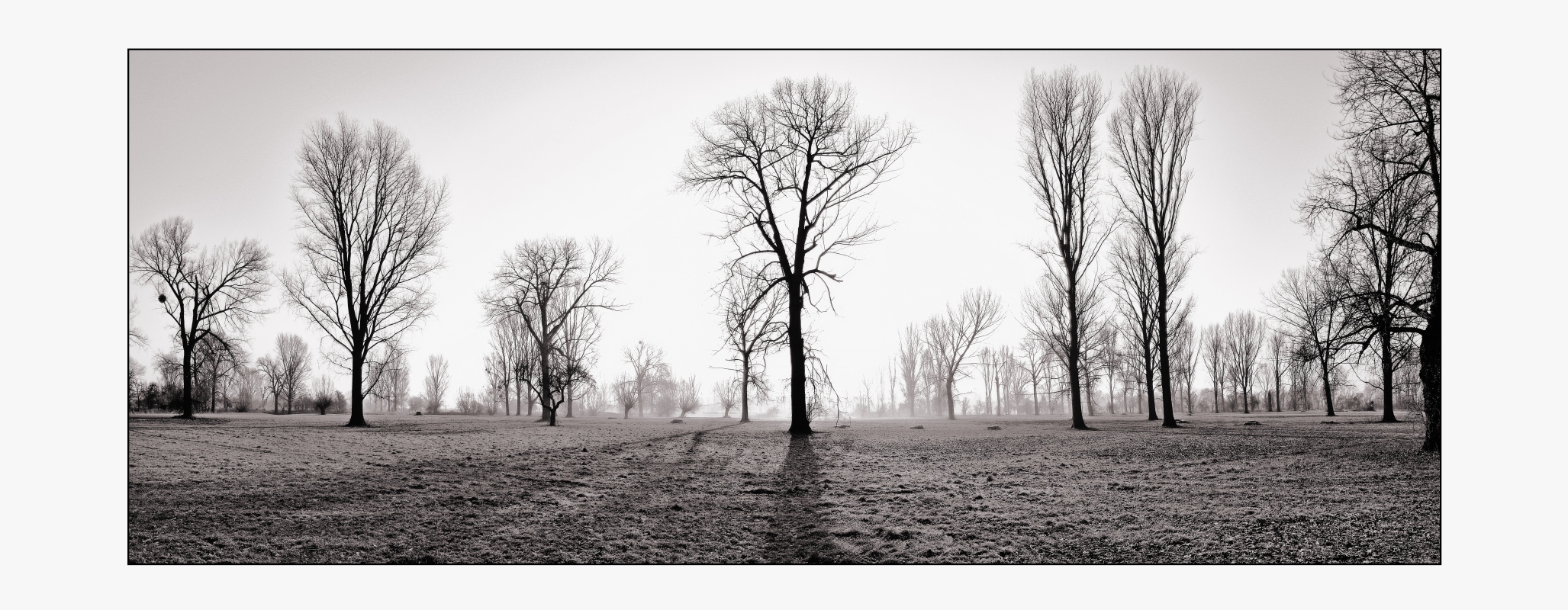 060128_Orthweg_bw.jpg