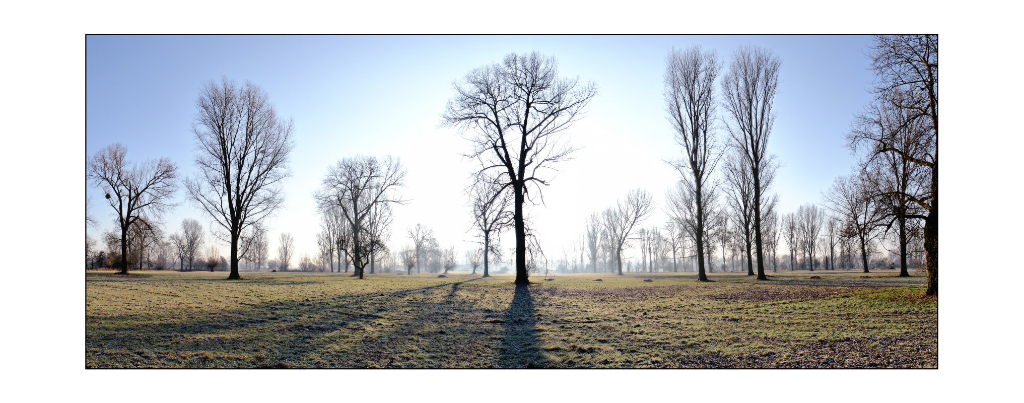 060128_Orthweg_color.jpg