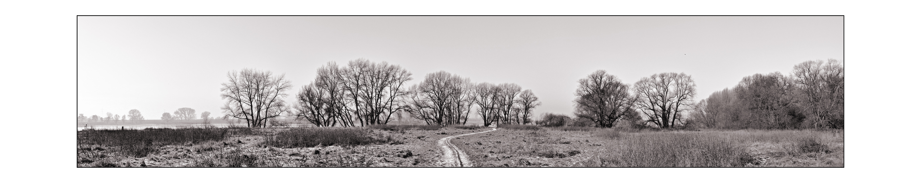 060128_Urdenbach_bw.jpg